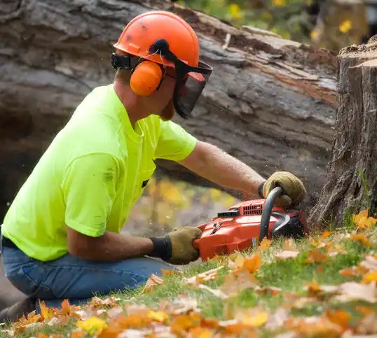 tree services Woodsboro